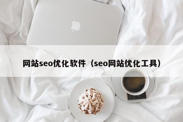 网站seo优化软件（seo网站优化工具）