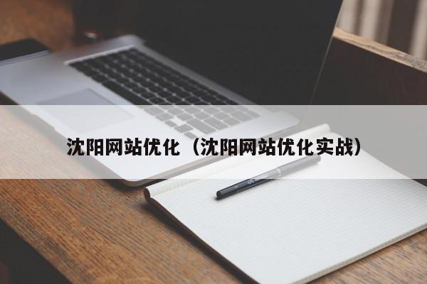 沈阳网站优化（沈阳网站优化实战）