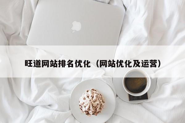 旺道网站排名优化（网站优化及运营）