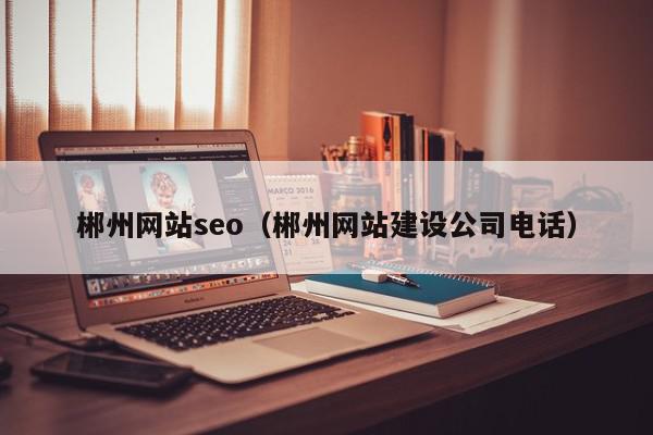 郴州网站seo（郴州网站建设公司电话）