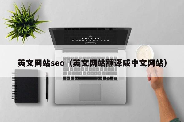 英文网站seo（英文网站翻译成中文网站）