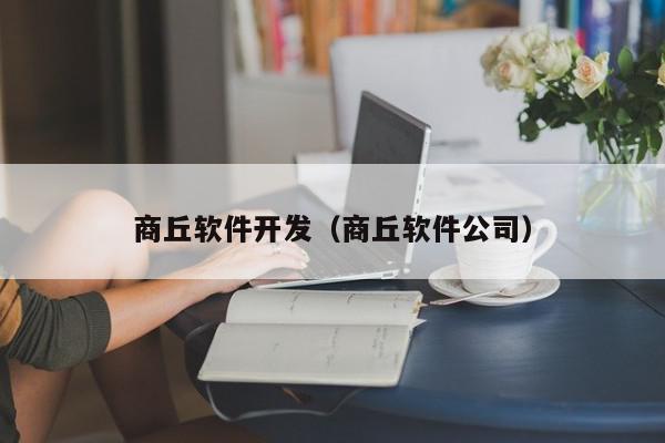 商丘软件开发（商丘软件公司）