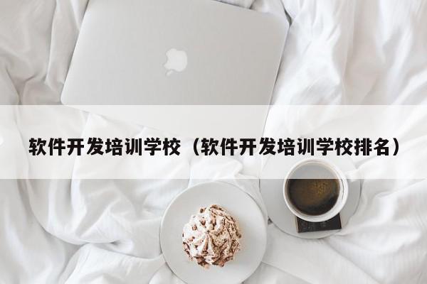 软件开发培训学校（软件开发培训学校排名）