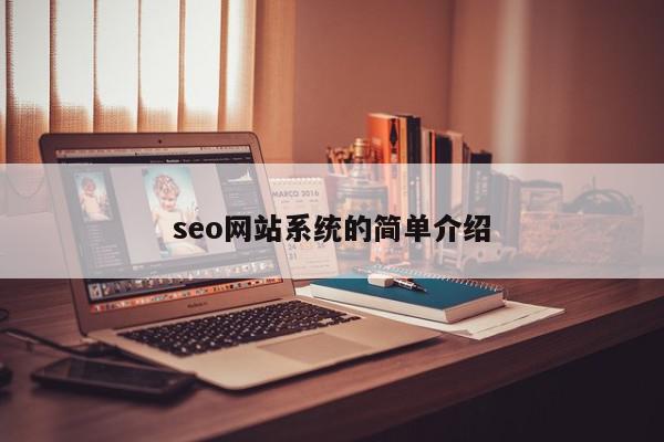 seo网站系统的简单介绍