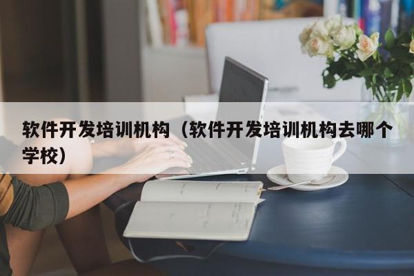 软件开发培训机构（软件开发培训机构去哪个学校）