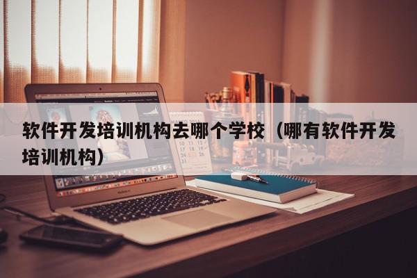 软件开发培训机构去哪个学校（哪有软件开发培训机构）