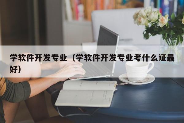 学软件开发专业（学软件开发专业考什么证最好）