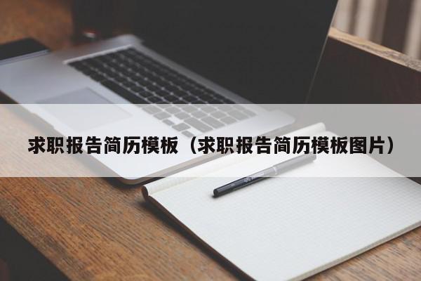 求职报告简历模板（求职报告简历模板图片）