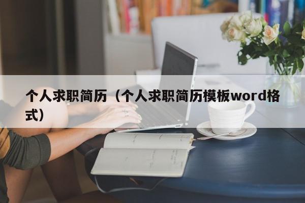 个人求职简历（个人求职简历模板word格式）