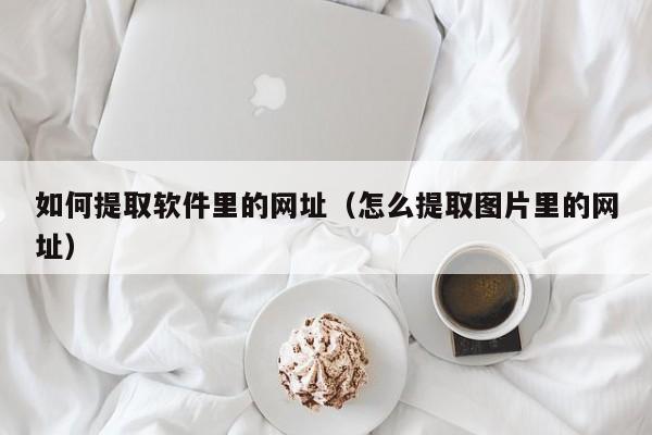 如何提取软件里的网址（怎么提取图片里的网址）